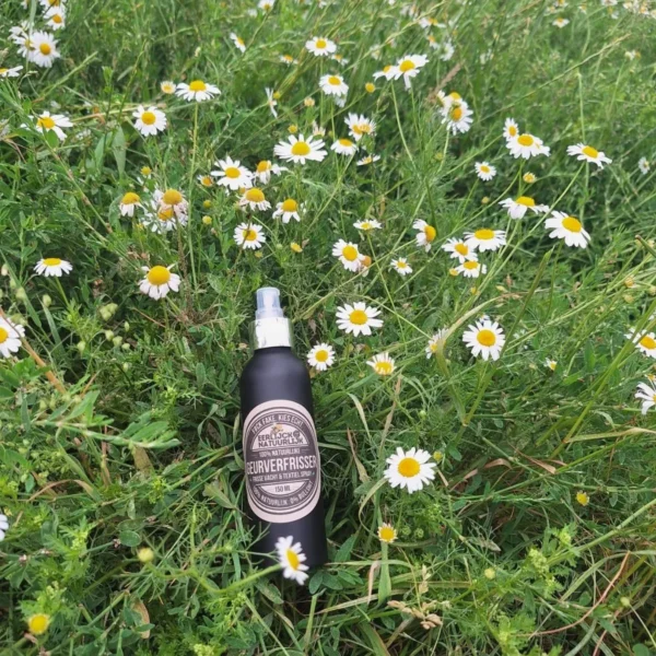 Frisse vacht & Textiel spray in weide Frisse vacht & Textiel spray in weide