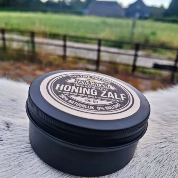 Honingzalf op paard_ Honingzalf op paard_