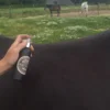 Insect Afweer Spray bij pony met hand
