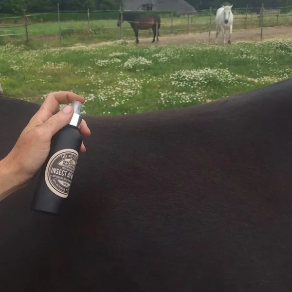 Insect Afweer Spray bij pony met hand Insect Afweer Spray bij pony met hand
