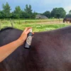 Insect Afweer Spray op paard met hand