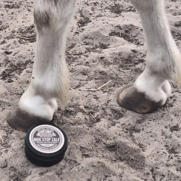 Mok Stop Zalf bij poot paard pony_converted MOK STOP ZALF — PLANTAARDIG