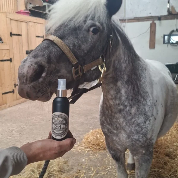 Stress Weg Spray bij pony Stress Weg Spray bij pony