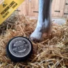 Tallow Hoef & Poot Zalf inzet bij pony poot