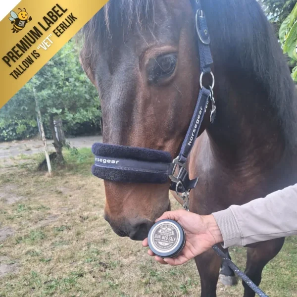 Tallow Jeuk Weg Zalf bij hoofd paard Tallow Jeuk Weg Zalf bij hoofd paard