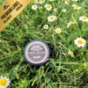 Tallow Schuur & Zweet Zalf voor paard