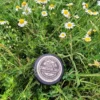 ZomerJeuk Zalf in weide