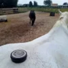 ZomerJeuk Zalf op paard