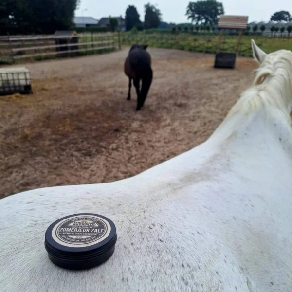ZomerJeuk Zalf op paard ZomerJeuk Zalf op paard