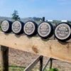 Zonnebrand Zalf – Natuurlijk UV Schild voor Paarden