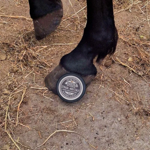straal hoefzalf bij paarden poot sta