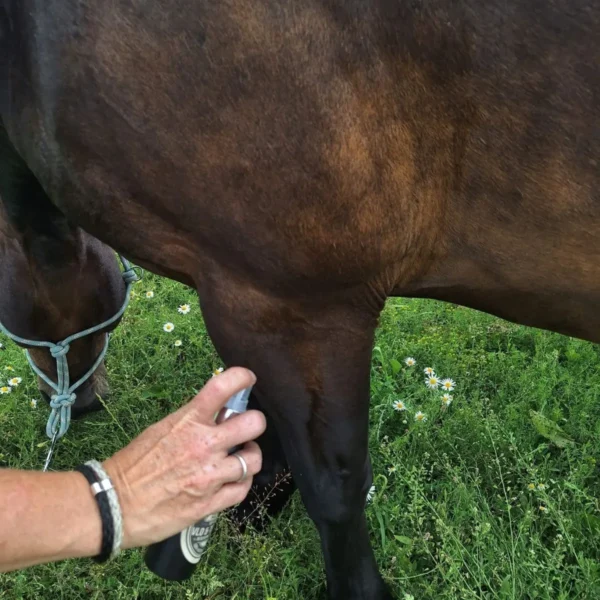 vlo & teken Spray bij paard_converted Vlooien & Teken Afweerspray – Natuurlijke Bescherming