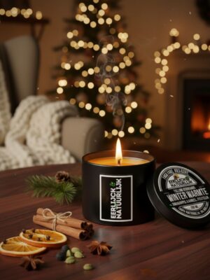 Winter Warmte natuurlijke geurkaars met sinaasappel en kaneel gemaakt van tallow